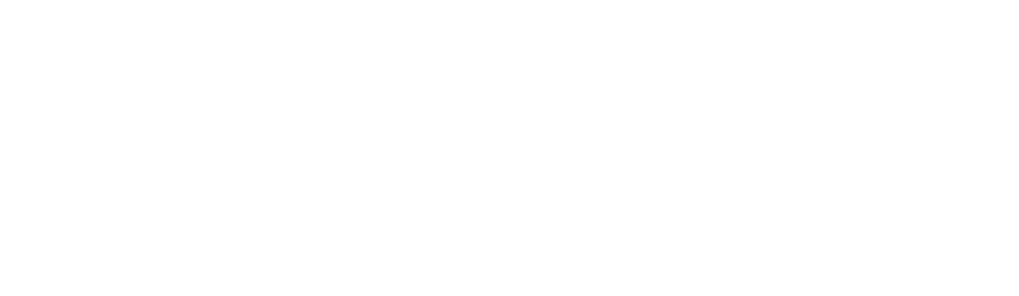 Optimum Global Services Inc.